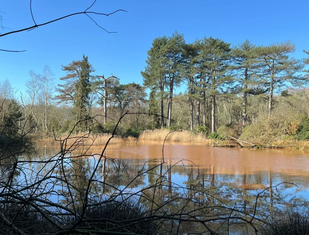 Beavers_lake_wild_ken_hill