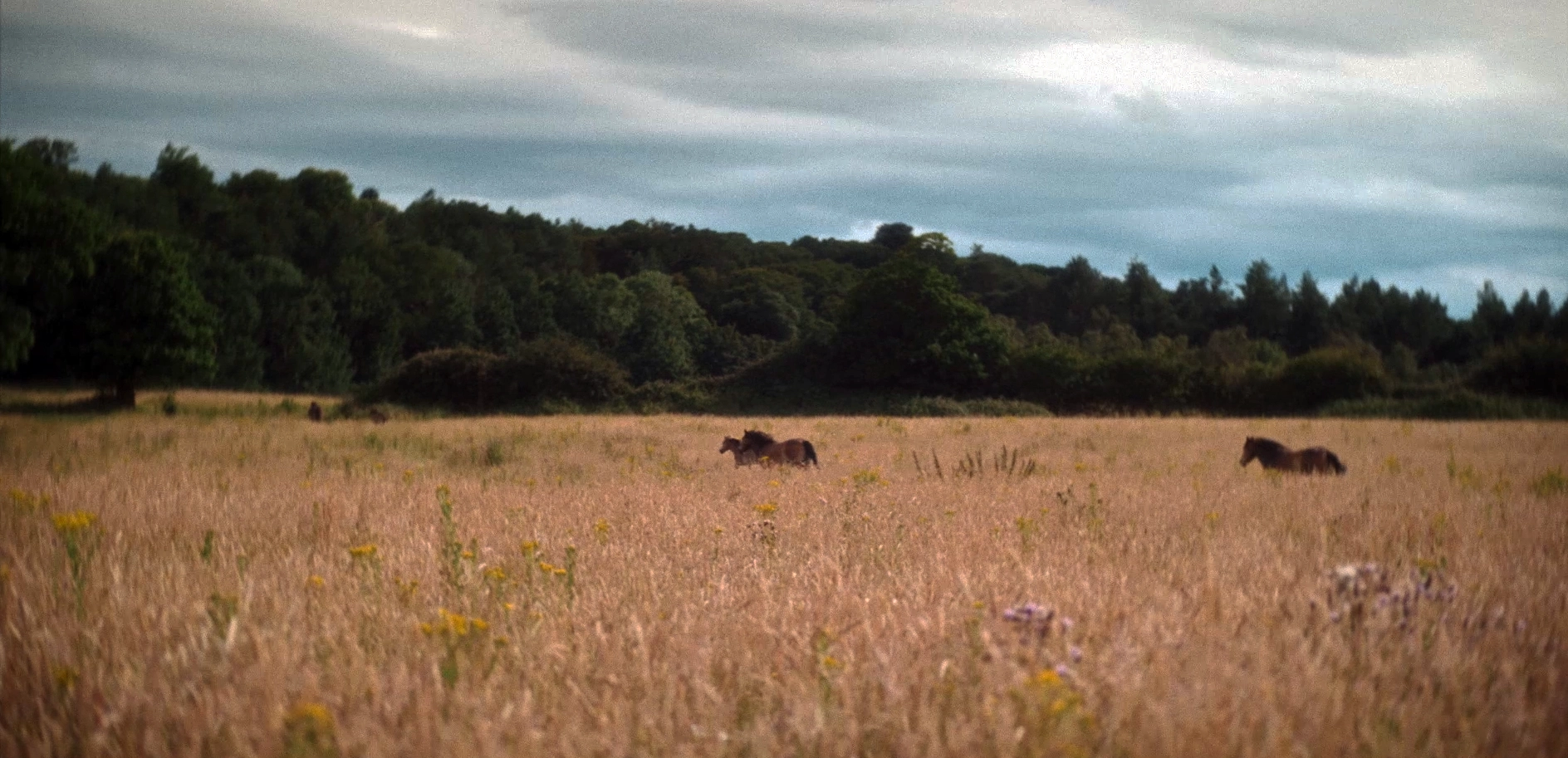Wild_Ken_Hill_Experiences_in_Nature