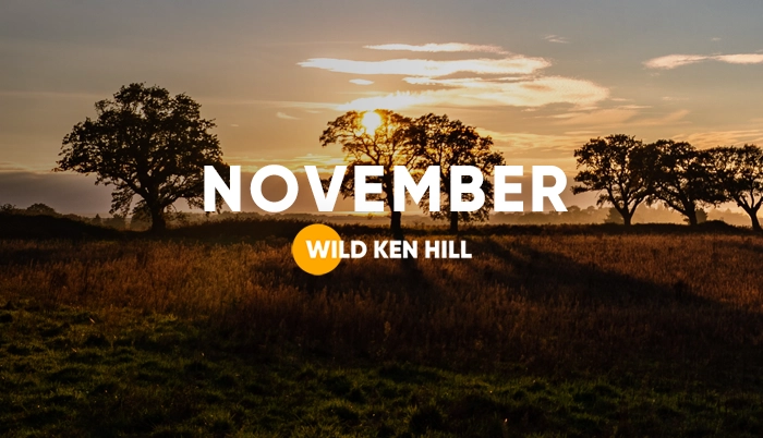 https://wildkenhill.co.uk/wp-content/uploads/2026/06/Wild_Ken_Hill_News_November_2025-1.webp